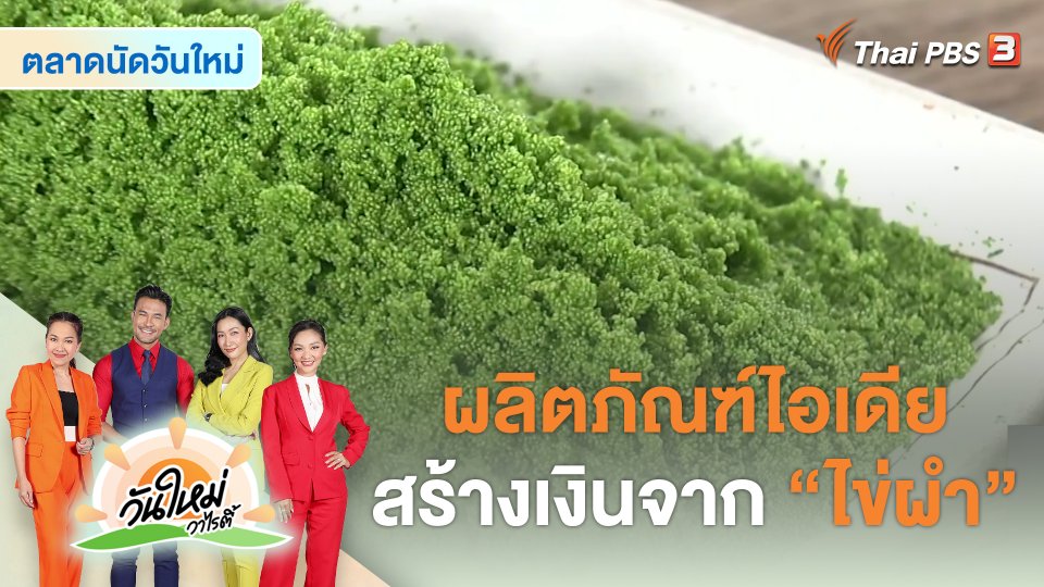 ​สีสันวาไรตี้ : ผลิตภัณฑ์ไอเดียสร้างเงินจาก "ไข่ผำ" จ.กาญจนบุรี