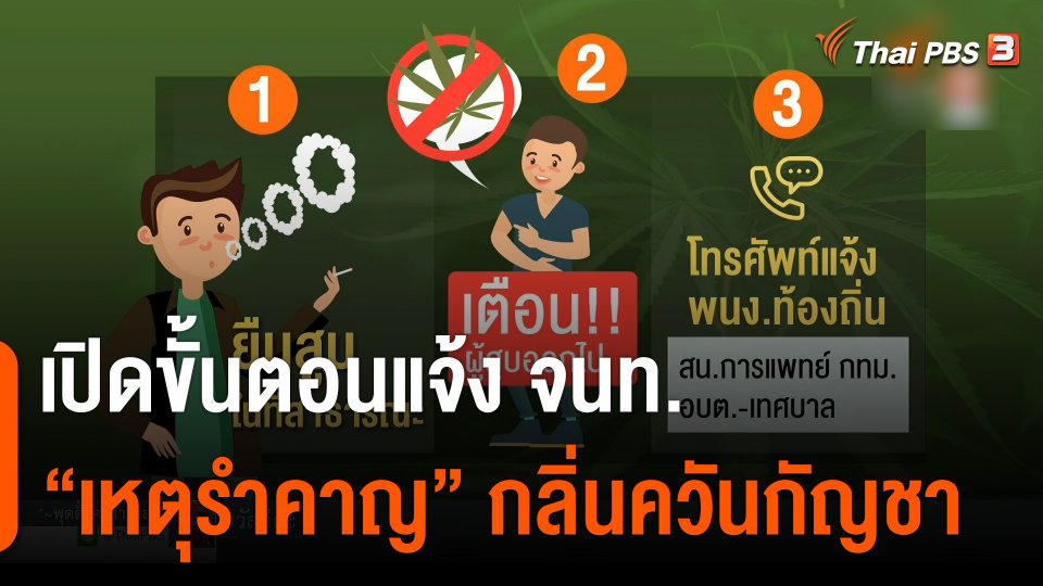 เปิดขั้นตอนแจ้ง จนท. "เหตุรำคาญ" กลิ่นควันกัญชา