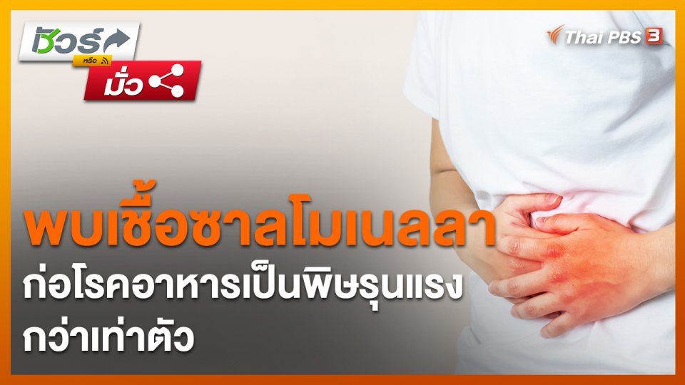 ​ชัวร์หรือมั่ว : พบเชื้อซาลโมเนลลา ก่อโรคอาหารเป็นพิษรุนแรงกว่าเท่าตัว