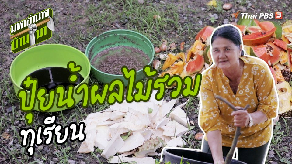 สูตรลับฉบับบ้านนา : ปุ๋ยน้ำผลไม้รวมทุเรียน