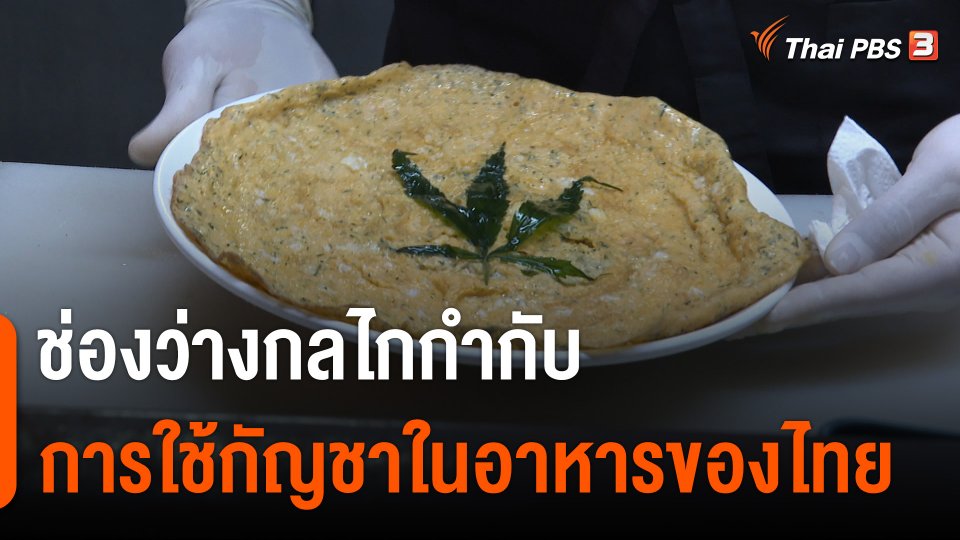 มองช่องว่างกลไกกำกับการใช้ "กัญชา" ในอาหารของไทย