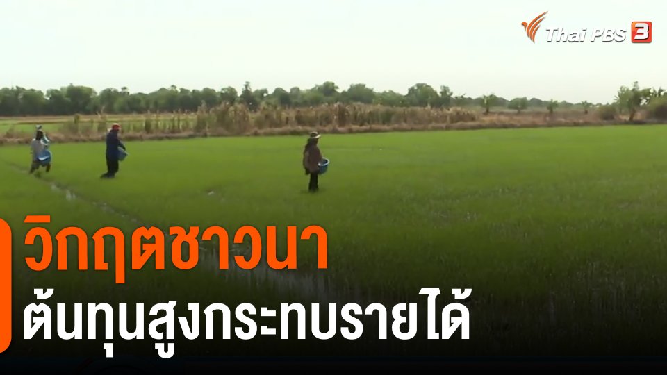 ​กินอยู่รู้รอบ : วิกฤตชาวนาต้นทุนสูงกระทบรายได้