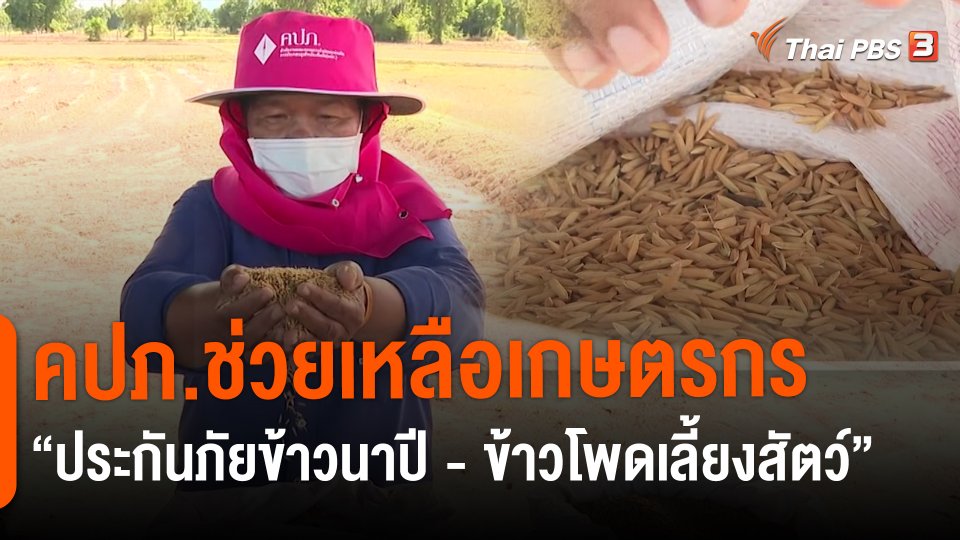 ​สถานีร้องเรียน : คปภ.ช่วยเหลือเกษตรกร "ประกันภัยข้าวนาปี - ข้าวโพดเลี้ยงสัตว์"