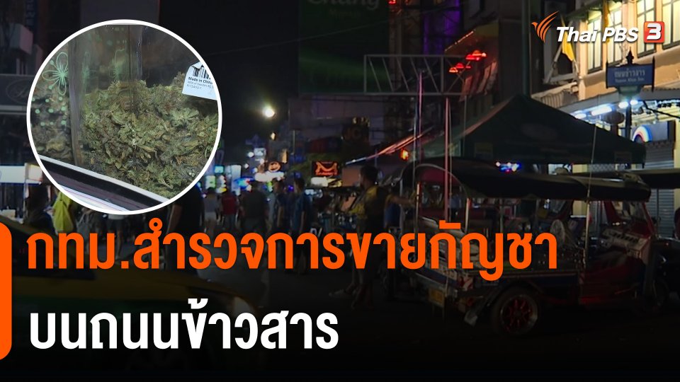 กทม.สำรวจการขายกัญชาบนถนนข้าวสาร เตือนหากขายต้องมีใบอนุญาต