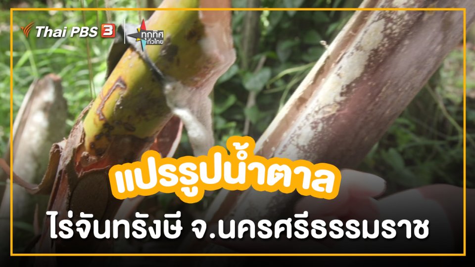 อาชีพทั่วไทย : แปรรูปน้ำตาลจากบรรจุภัณฑ์ไร่จันทรังษี จ.นครศรีธรรมราช