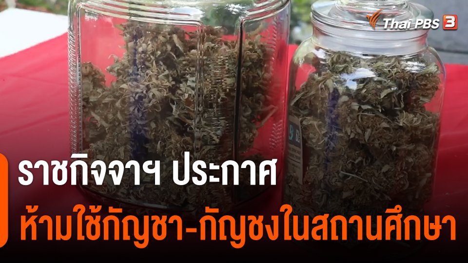 ราชกิจจาฯ ประกาศห้ามใช้กัญชา-กัญชงในสถานศึกษา