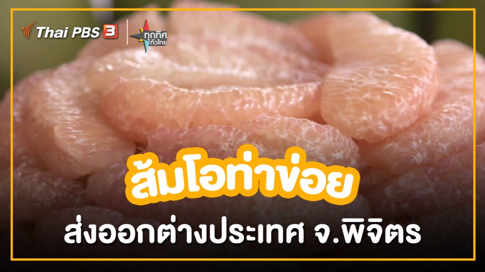 อาชีพทั่วไทย : ส้มโอท่าข่อยส่งออกต่างประเทศ จ.พิจิตร