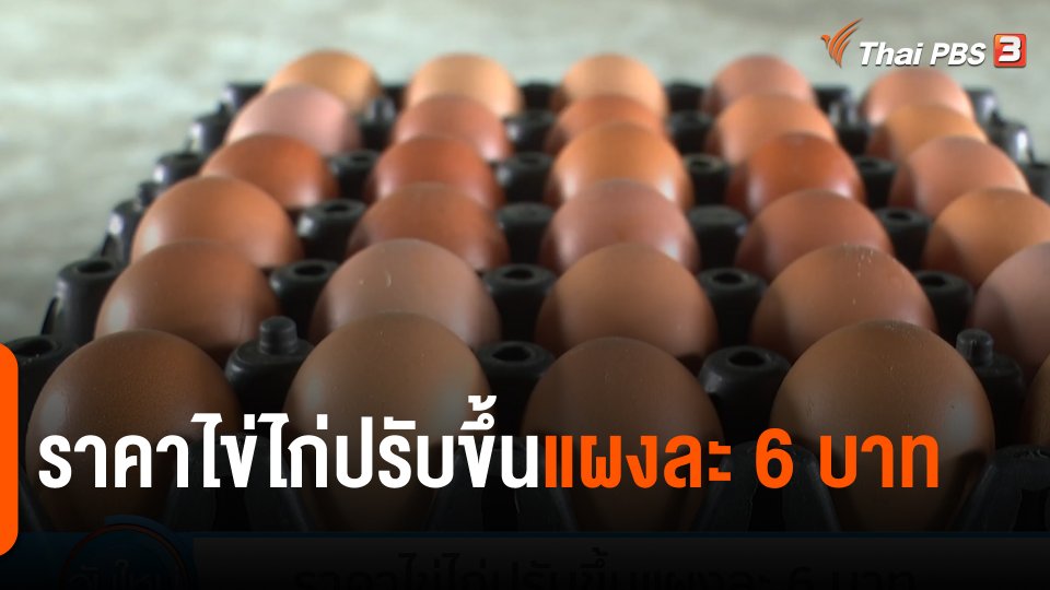 กินอยู่รู้รอบ : ราคาไข่ไก่ปรับขึ้นแผงละ 6 บาท