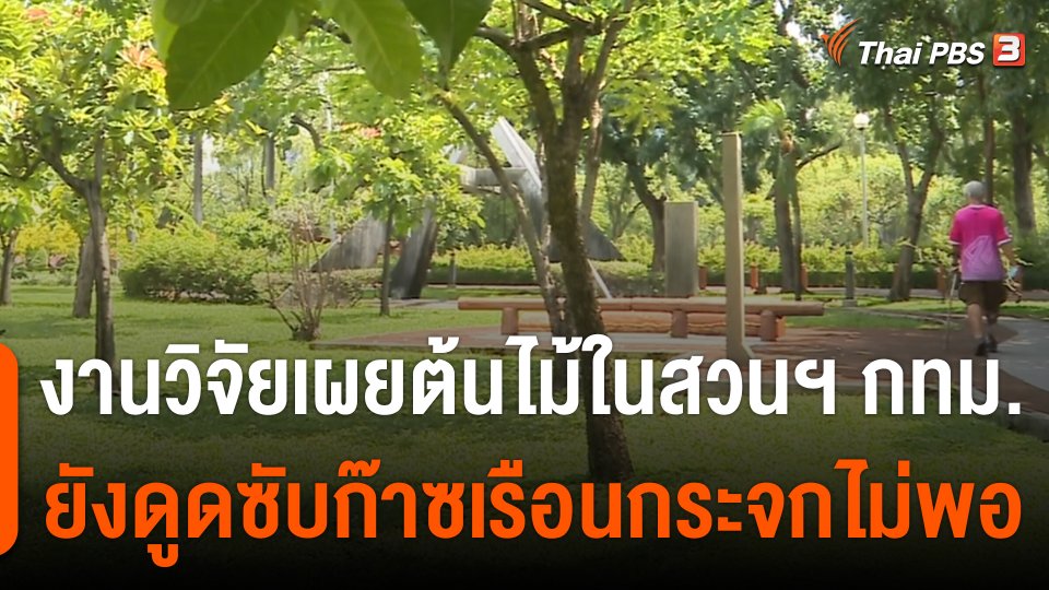 งานวิจัยเผยต้นไม้ในสวนสาธารณะ กทม.ยังดูดซับก๊าซเรือนกระจกไม่พอ