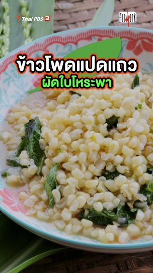 ข้าวโพดแปดแถวผัดใบโหระพา