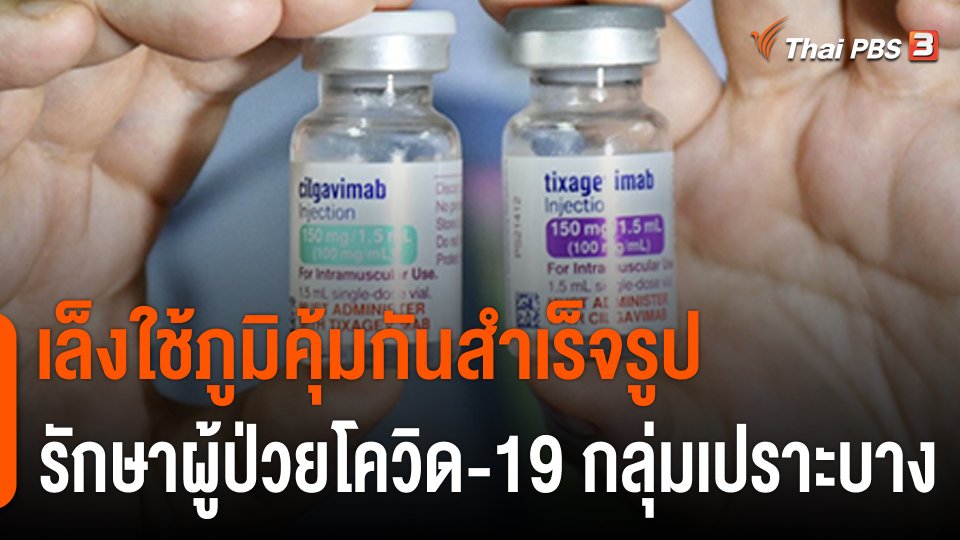 เล็งใช้ภูมิคุ้มกันสำเร็จรูปรักษาผู้ป่วยกลุ่มเปราะบาง