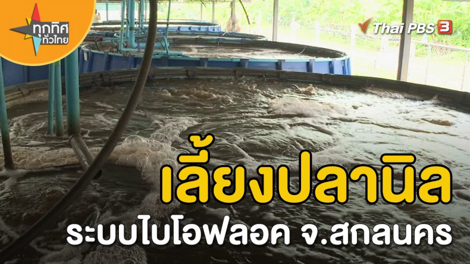 อาชีพทั่วไทย : เลี้ยงปลานิลระบบไบโอฟลอค จ.สกลนคร