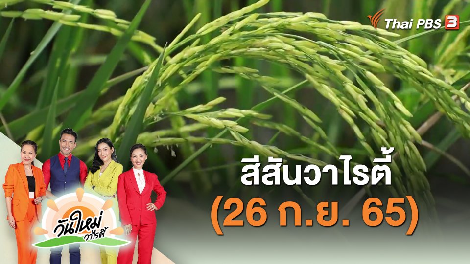 สีสันวาไรตี้ (26 ก.ย. 65)