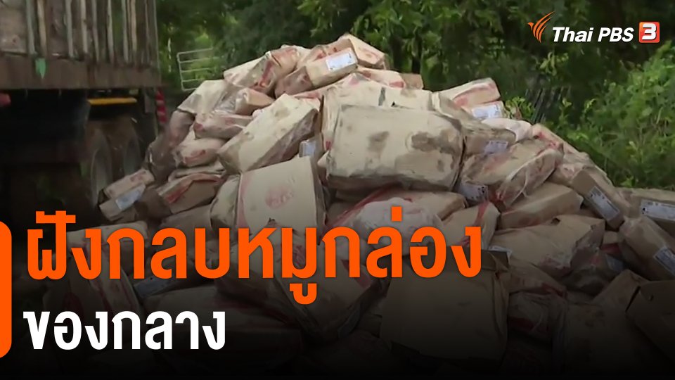 ​ฝังกลบหมูกล่องของกลาง