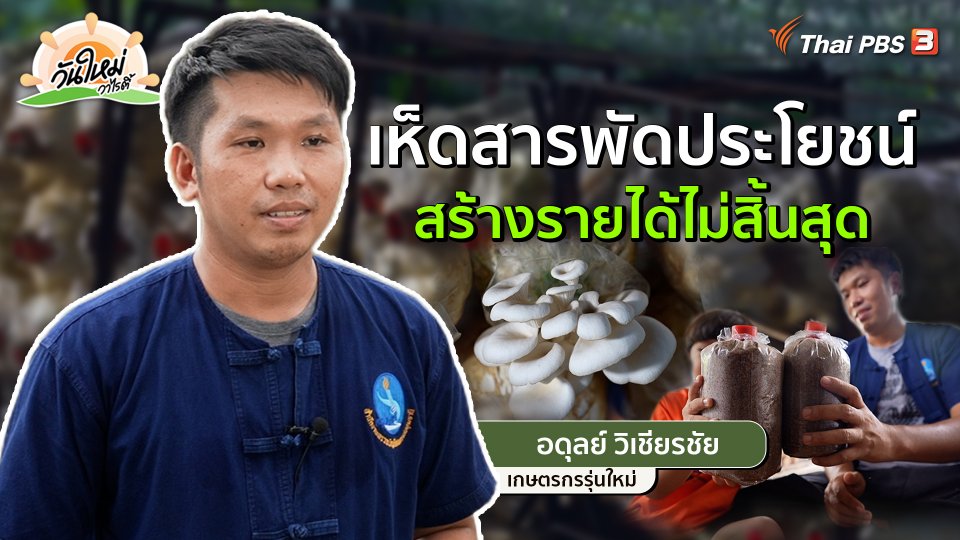 พอดีพอเพียง : เห็ดสารพัดประโยชน์ สร้างรายได้ไม่สิ้นสุด