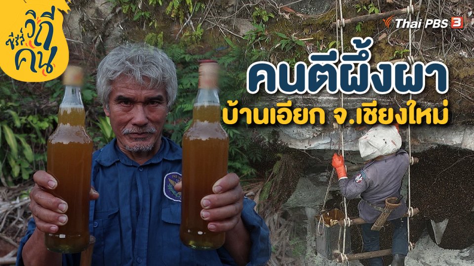 คนตีผึ้งผา