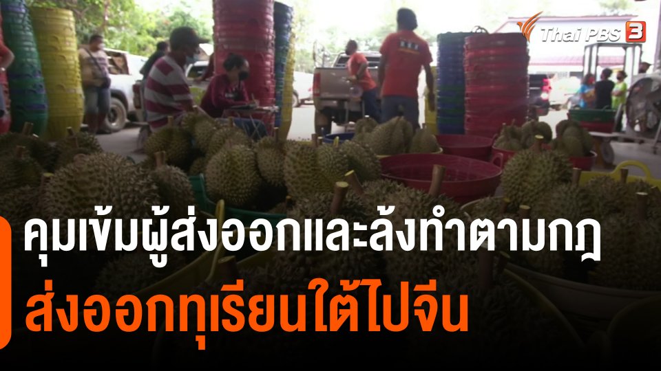กินอยู่รู้รอบ : คุมเข้มผู้ส่งออกเเละล้งทำตามกฎส่งออกทุเรียนใต้ไปจีน