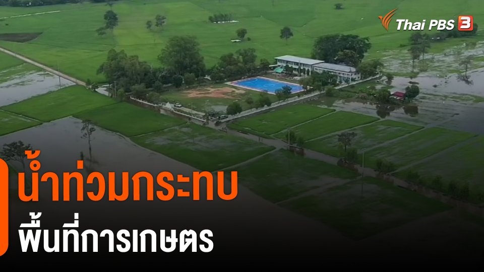 กินอยู่รู้รอบ : น้ำท่วมกระทบพื้นที่การเกษตร