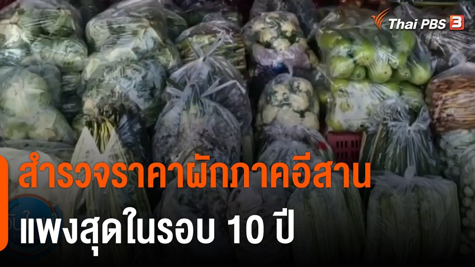 กินอยู่รู้รอบ : สำรวจราคาผักภาคอีสาน แพงสุดในรอบ 10 ปี