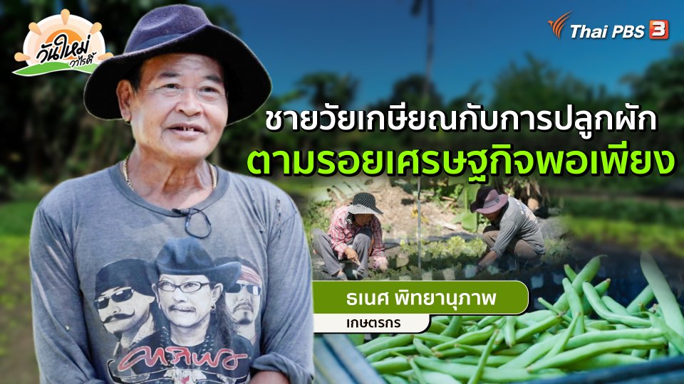 ​พอดีพอเพียง : ช่วงวัยเกษียณกับการปลูกผักตามรอยเศรษฐกิจพอเพียง