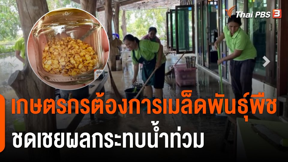 C-Site Focus : เกษตรกรต้องการเมล็ดพันธุ์พืช ชดเชยผลกระทบน้ำท่วม