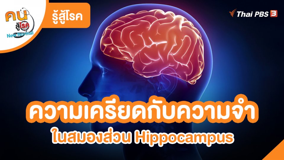 ​รู้สู้โรค : ความเครียดกับความจำในสมองส่วน Hippocampus