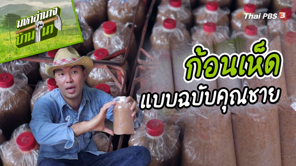 สูตรลับฉบับบ้านนา : ก้อนเห็ดแบบฉบับคุณชาย