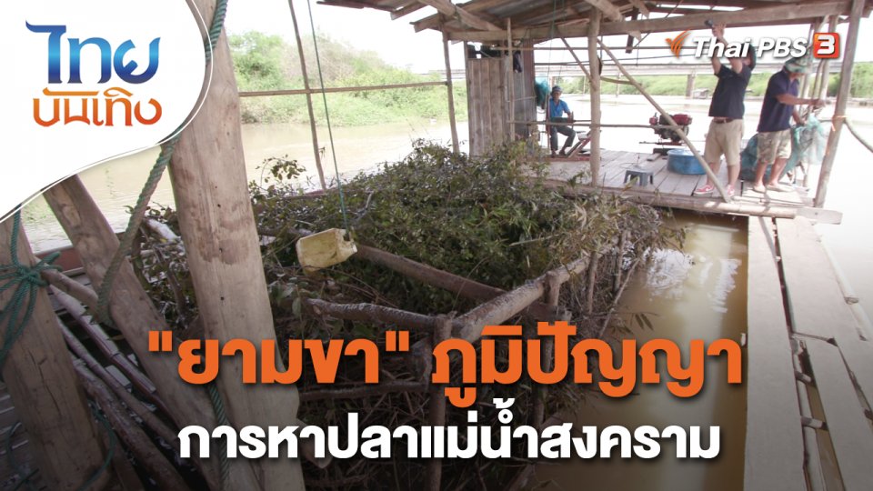 อิ่มมนต์รส : "ยามขา" ภูมิปัญญาการหาปลาแม่น้ำสงคราม