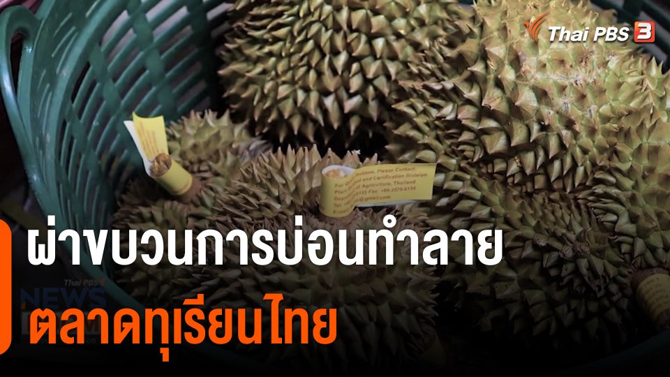 ชำแหละ "กลุ่มทุนจีน" เปิดขบวนการ "ธุรกิจสีเทา"