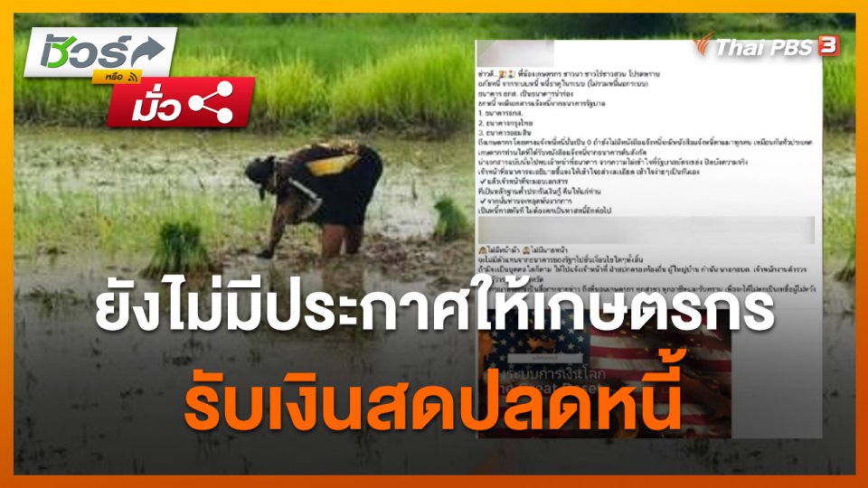ชัวร์หรือมั่ว : กระทรวงเกษตรฯ ชี้แจง ยังไม่มีประกาศให้เกษตรกรรับเงินสดปลดหนี้