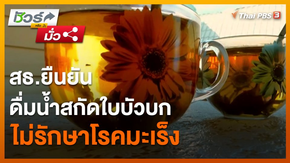 ​ชัวร์หรือมั่ว : สธ.ยืนยัน ดื่มน้ำสกัดใบบัวบก ไม่รักษาโรคมะเร็ง