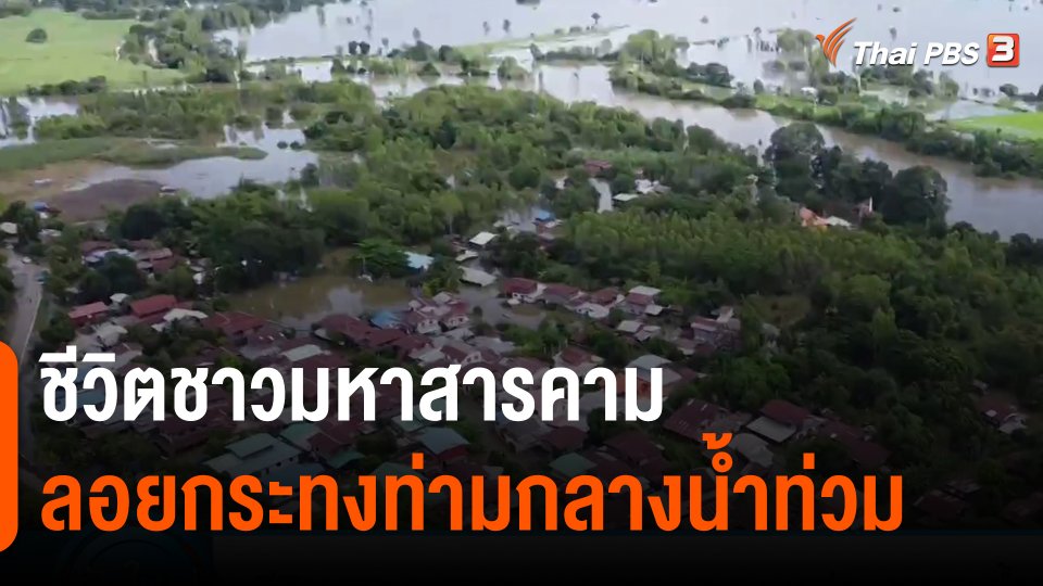 ชีวิตชาวมหาสารคามลอยกระทงท่ามกลางน้ำท่วม