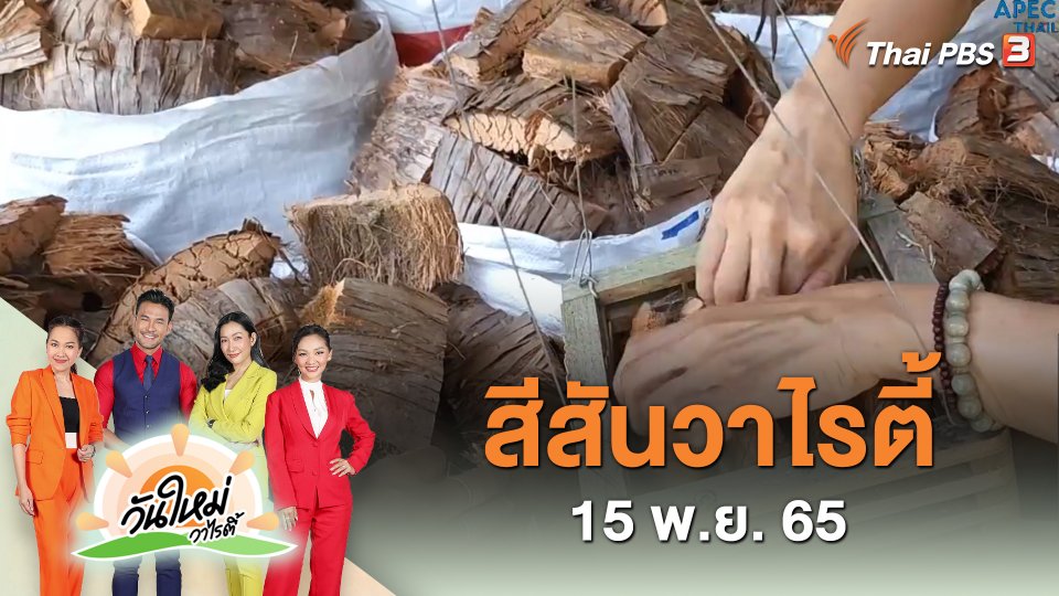 สีสันวาไรตี้ (15 พ.ย. 65)