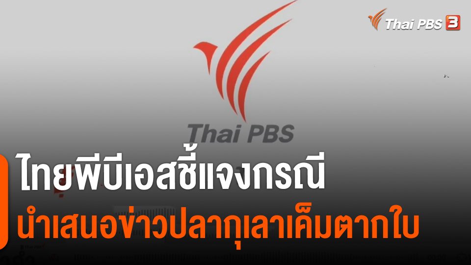 ​ไทยพีบีเอสชี้แจงกรณีนำเสนอข่าวปลากุเลาเค็มตากใบ