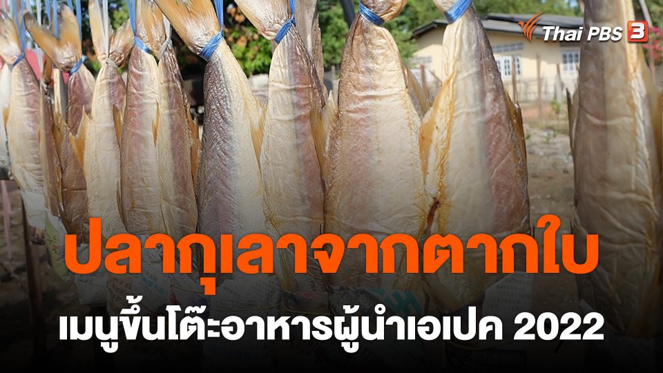 “ปลากุเลาจากตากใบ” เมนูขึ้นโต๊ะอาหารผู้นำเอเปค 2022