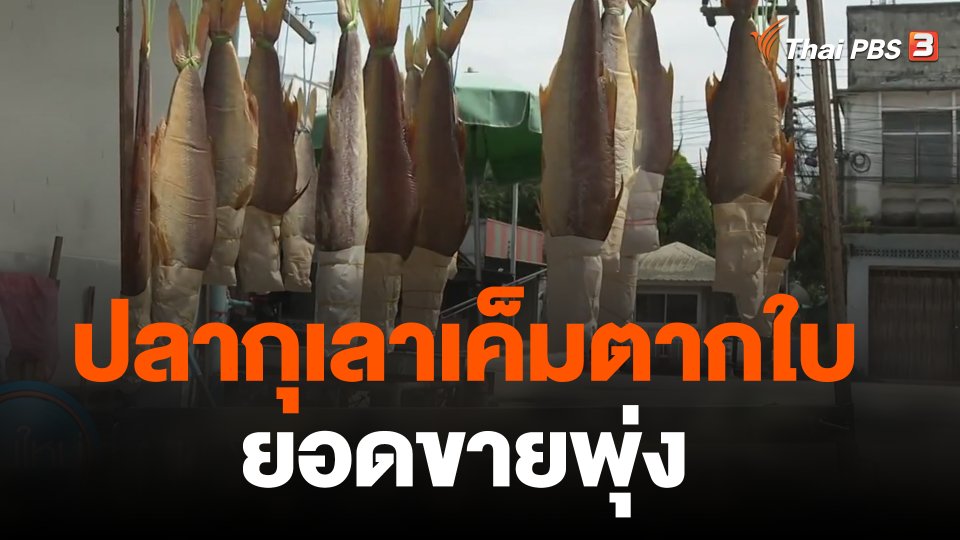 ปลากุเลาเค็มตากใบยอดขายพุ่ง