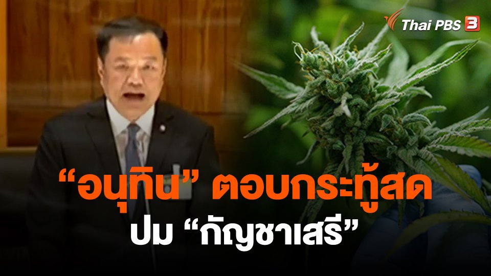​"อนุทิน" ตอบกระทู้สดปม "กัญชาเสรี"