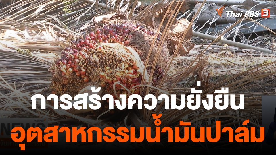 จับสัญญาณเศรษฐกิจ : การสร้างความยั่งยืนอุตสาหกรรมน้ำมันปาล์ม