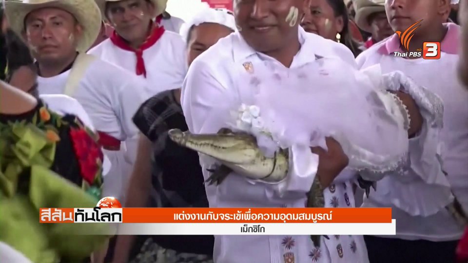 เม็กซิโก จัดแต่งงานกับจระเข้ เพื่อความอุดมสมบูรณ์