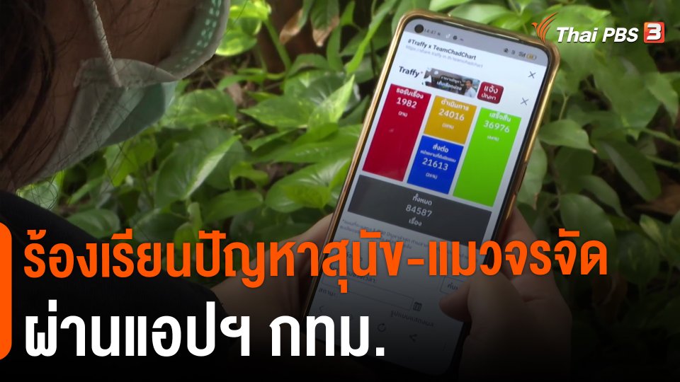 ​ร้องเรียนปัญหาสุนัข-แมวจรจัด ผ่านแอปฯ กทม.