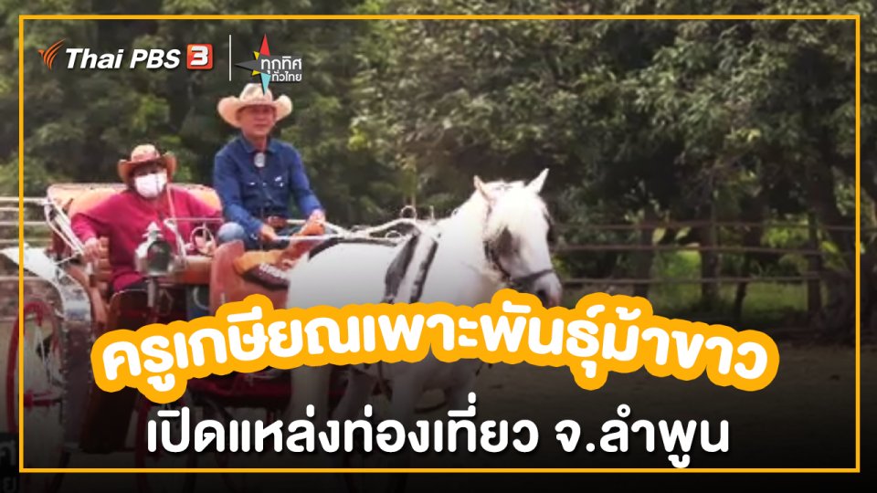 ​อาชีพทั่วไทย :ครูเกษียณเพาะพันธุ์ม้าขาวเปิดแหล่งท่องเที่ยว จ.ลำพูน
