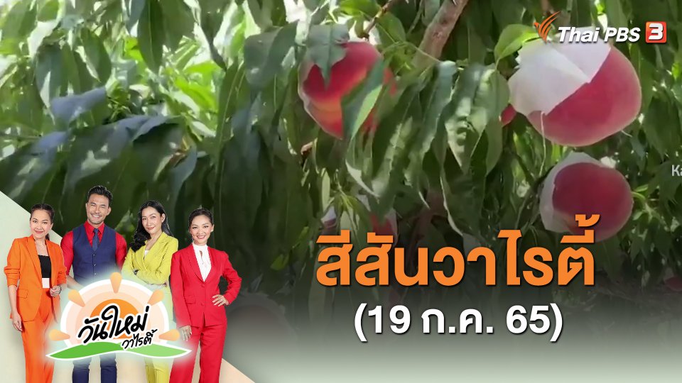 สีสันวาไรตี้ (19 ก.ค. 65)
