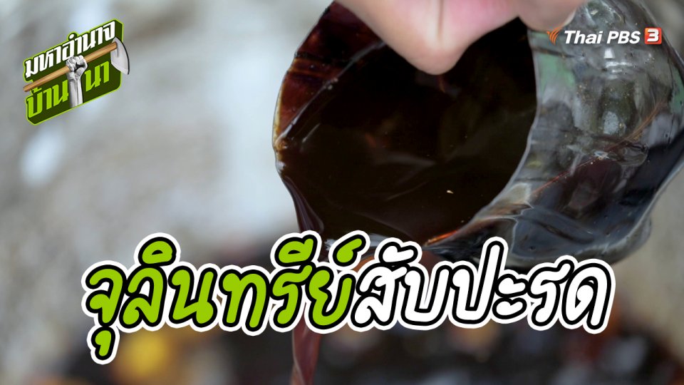 สูตรลับฉบับบ้านนา : จุลินทรีย์สับปะรด