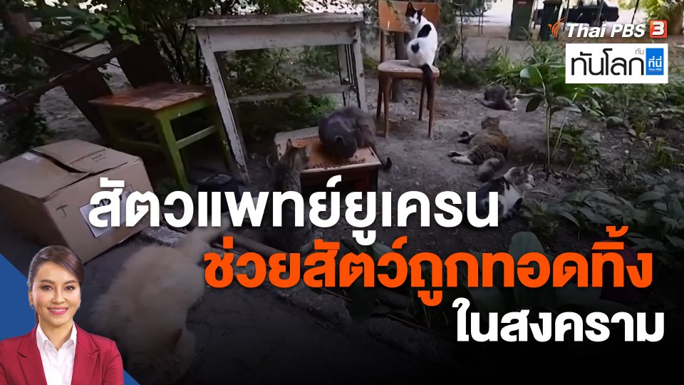 สัตวแพทย์ยูเครนช่วยสัตว์ถูกทอดทิ้งในสงคราม