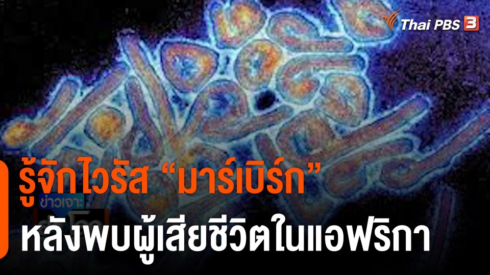 รู้จักไวรัส “มาร์เบิร์ก” หลังพบผู้เสียชีวิตในแอฟริกา