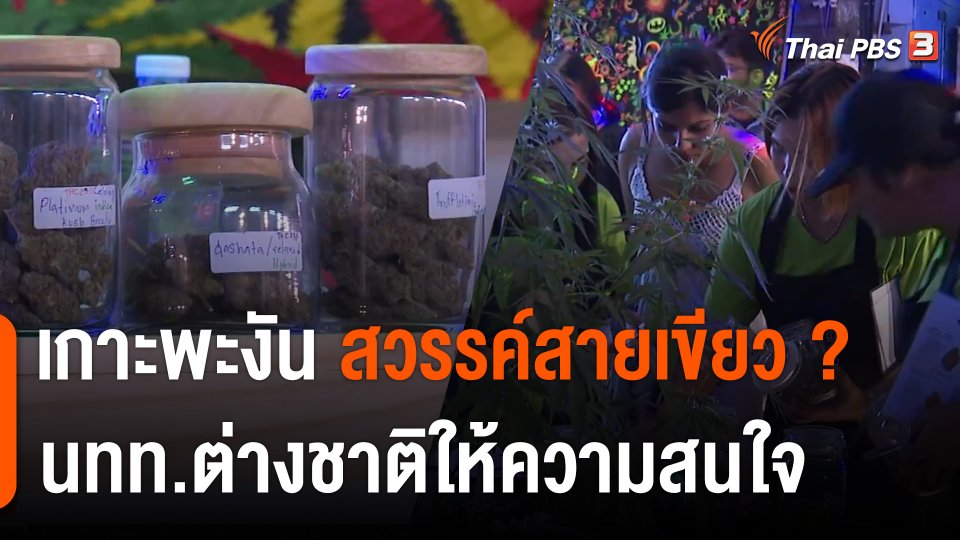 เกาะพะงัน สวรรค์สายเขียว ? นักท่องเที่ยวต่างชาติให้ความสนใจ