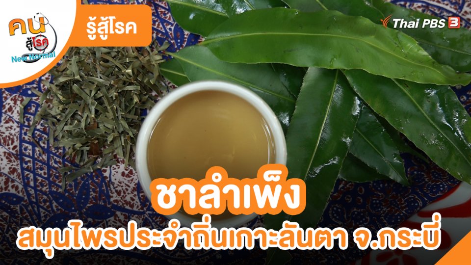 รู้สู้โรค : ชาลำเพ็ง สมุนไพรประจำถิ่นเกาะลันตา จ.กระบี่