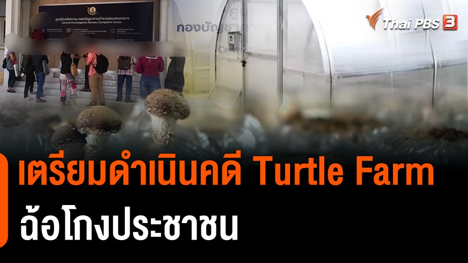 สถานีร้องเรียน : เตรียมดำเนินคดี "ฟาร์มเห็ด Turtle Farm" ฉ้อโกงประชาชน