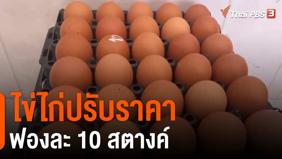 ​กินอยู่รู้รอบ : ไข่ไก่ปรับราคาฟองละ 10 สตางค์