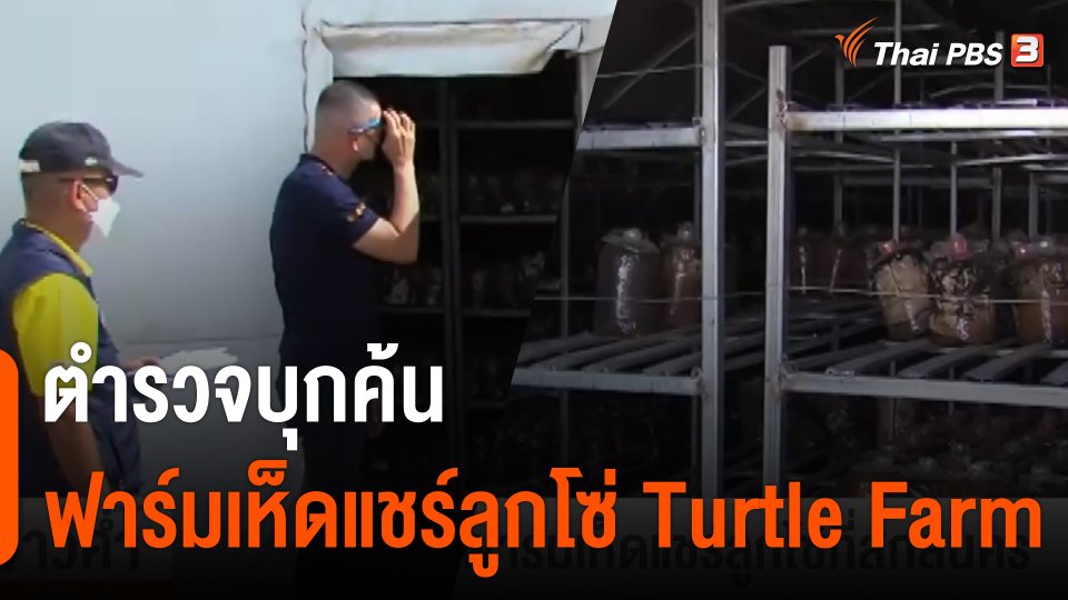 ตำรวจบุกค้นฟาร์มเห็ดแชร์ลูกโซ่ Turtle Farm จ.สกลนคร